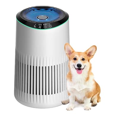 MORENTO Air Purifiers for Home, Air Purifier for Smoke Pet Dander Odors with Fragrance Sponge, Small Air Purifier with Sleep Mode for Bedroom Office, Blue Ambient Light, MR2566, White,1 Pack+3 Modes